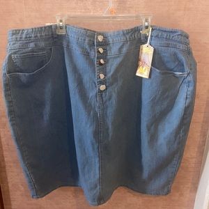 NWT AQD Skirt size 30